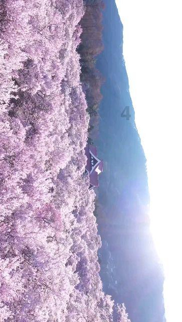 可疑的情况
