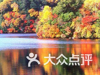 福建省创新研究院开展“祝福您，我的创新研究院”迎新春活动