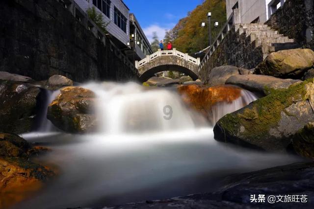 十年前电视前立志,十年后梦想成真!郑钦文首次闯入大满贯决赛